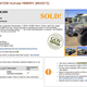 Illustration for article titled Here's What People Paid For The First Publicly Sold Surplus Humvees